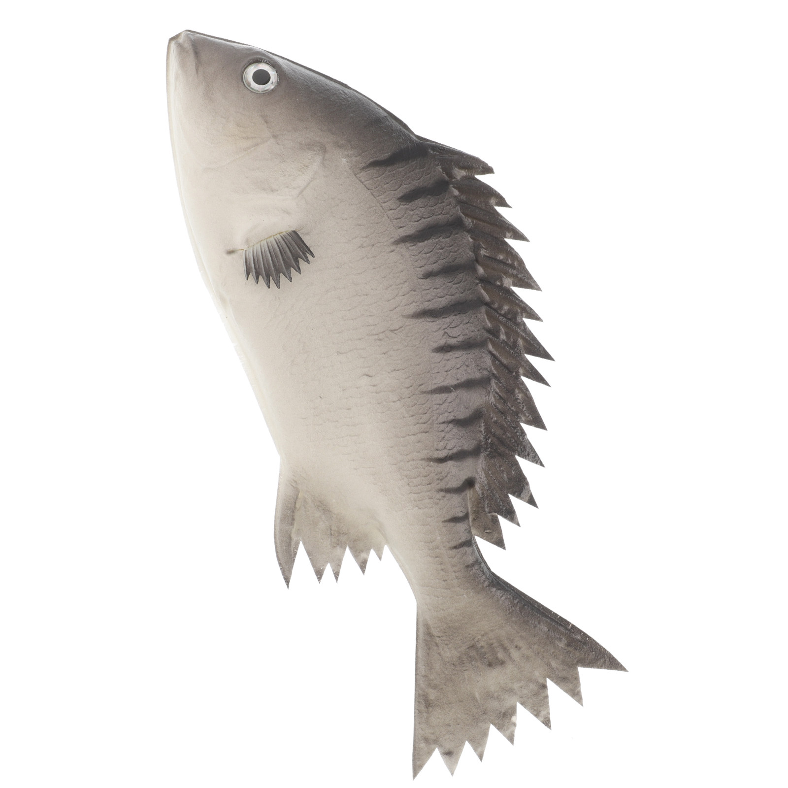 Realistic Simulation Fish Deco – обзор и цена Photography Simulator