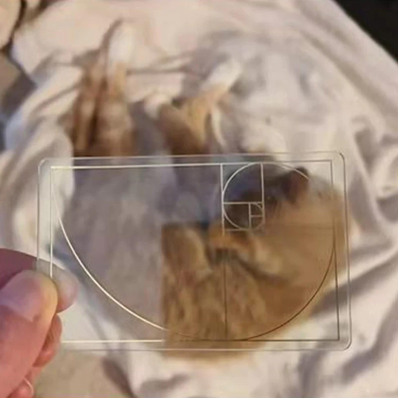 View Finder for Drawing Golden – обзор и цена Photography Golden Ratio