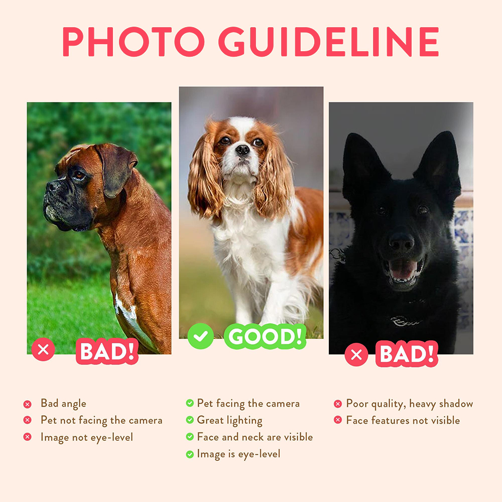 Personalized Pet Portraits Pho – обзор и цена Photography Object