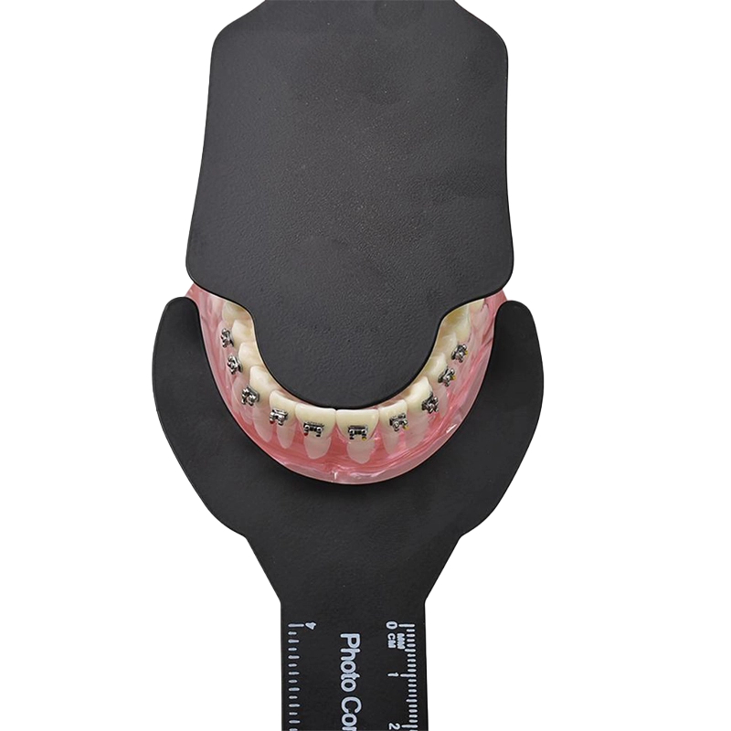 Dental Photography dentistry P – обзор и цена Photography Dental