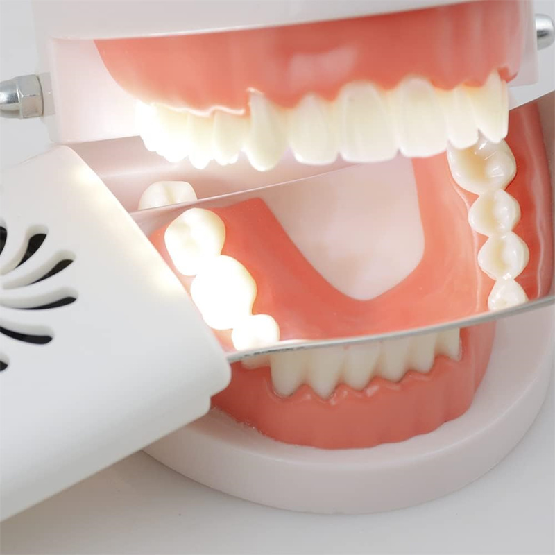 Dental Anti-Fog Mirrors With L – обзор и цена Photography Dental