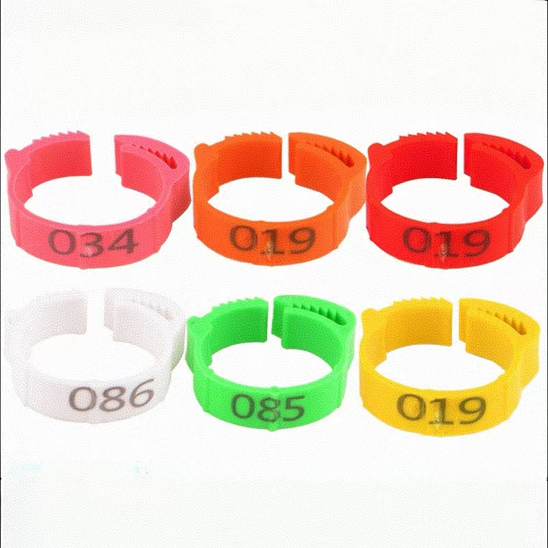 100pcs Chicken Foot Ring Label – обзор и цена Photography Duck