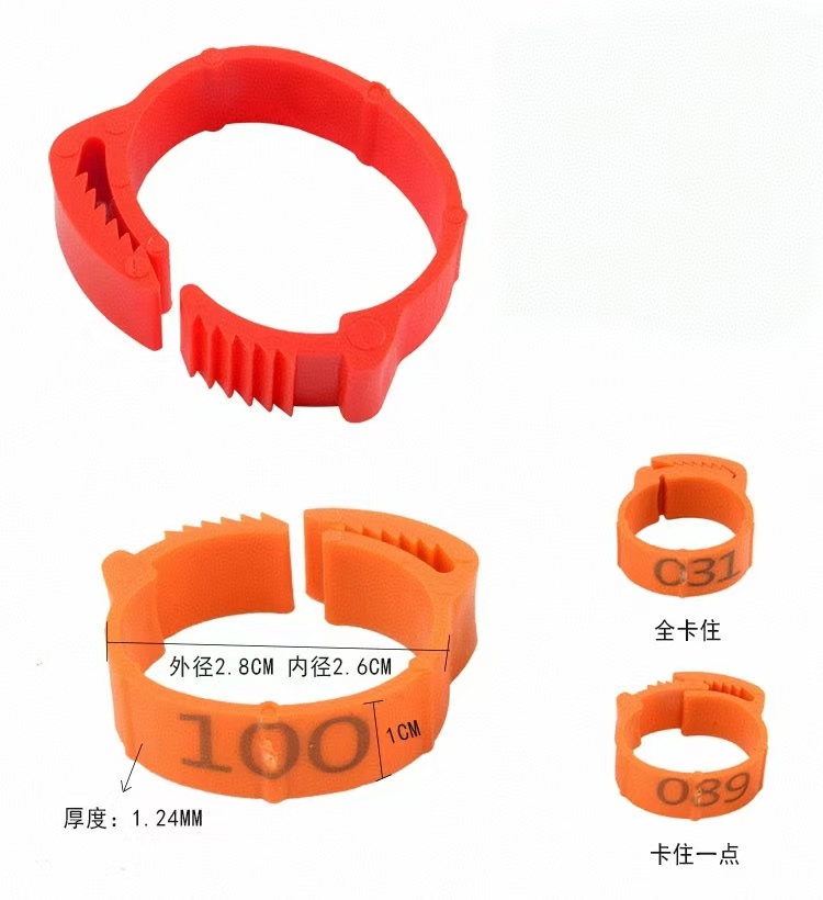 100pcs Chicken Foot Ring Label – обзор и цена Photography Duck